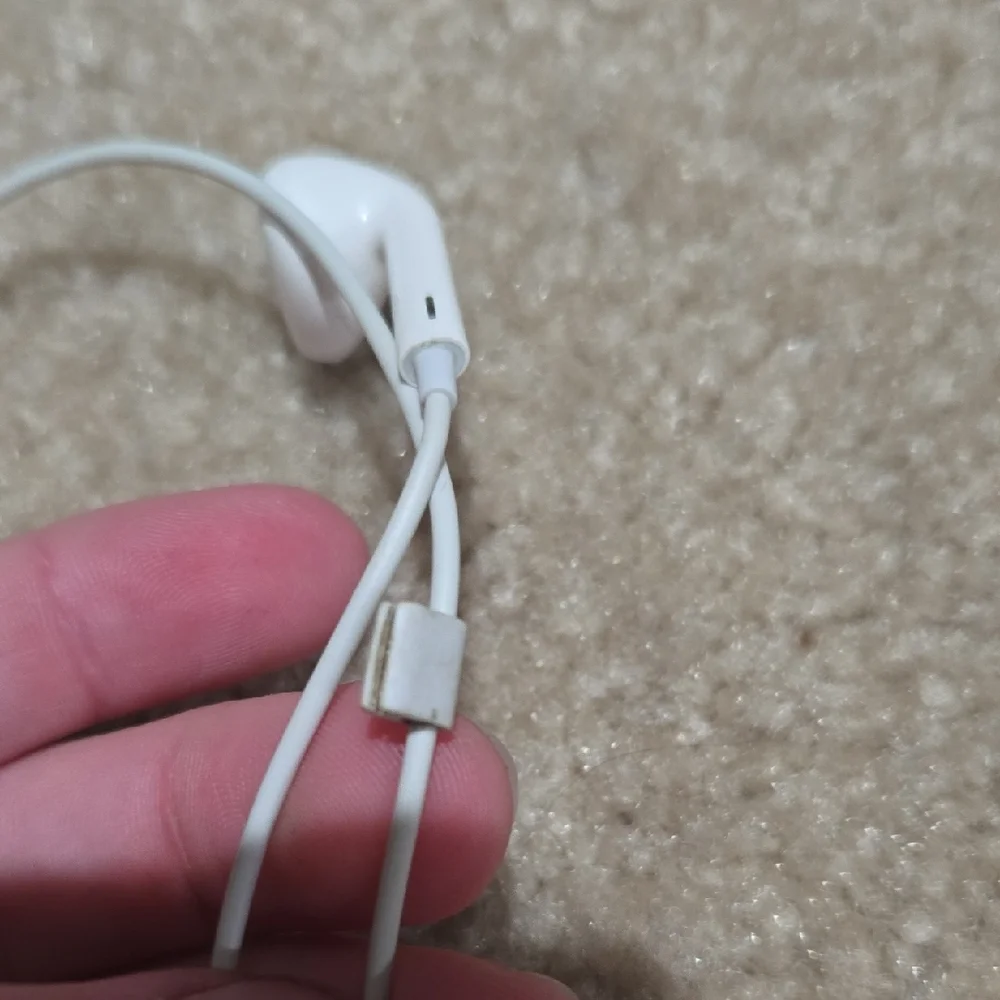 Apple Wired EarPods with Lightning